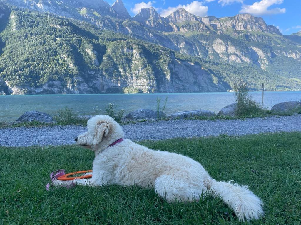 Doodle'S Amazing Chalet -Walensee - Flumserberg - Churfirsten - Heidiland - Pool - Sauna Mols Екстер'єр фото