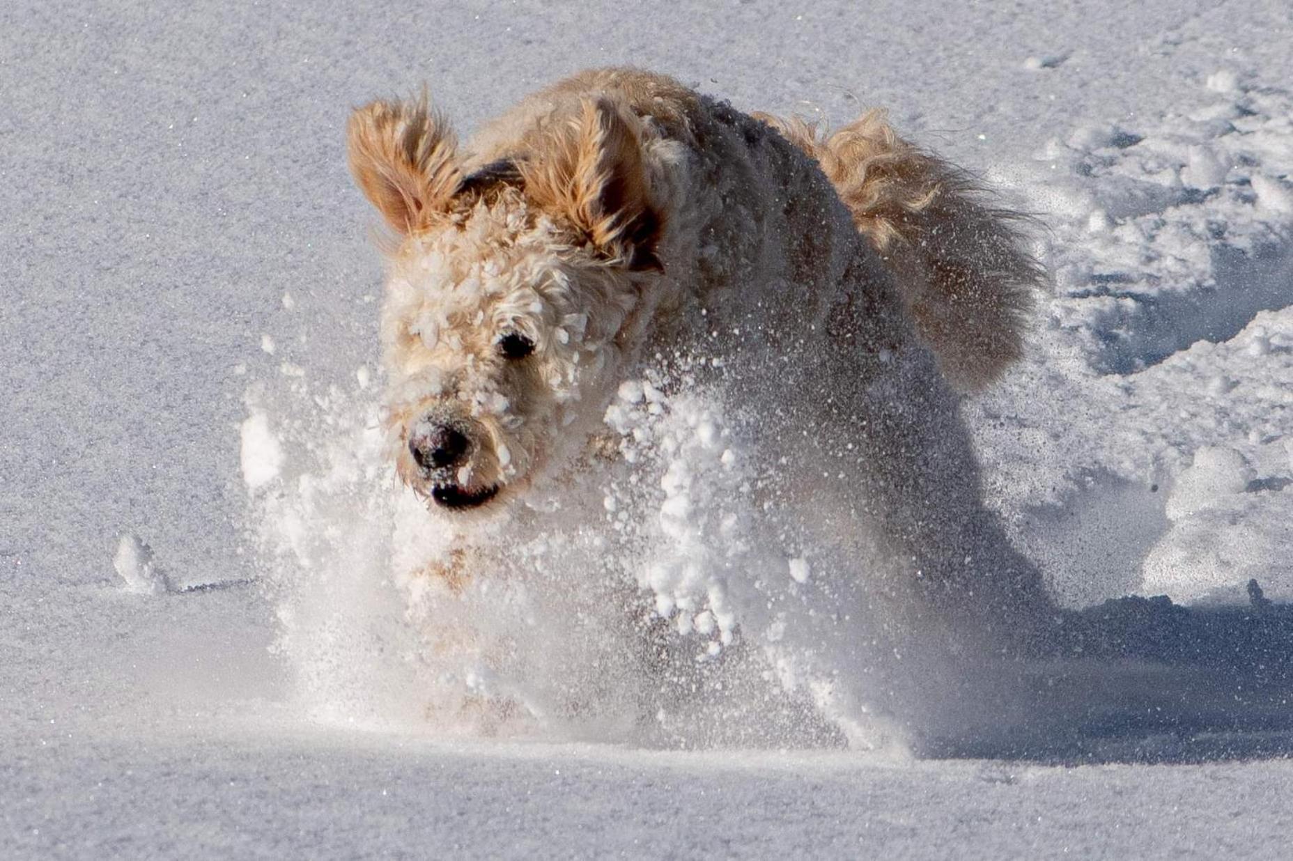 Doodle'S Amazing Chalet -Walensee - Flumserberg - Churfirsten - Heidiland - Pool - Sauna Mols Екстер'єр фото
