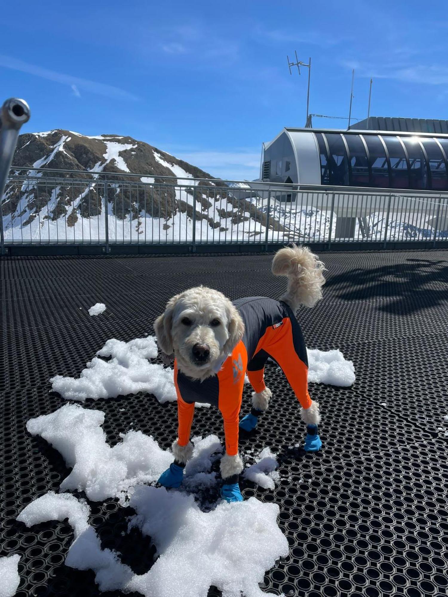Doodle'S Amazing Chalet -Walensee - Flumserberg - Churfirsten - Heidiland - Pool - Sauna Mols Екстер'єр фото
